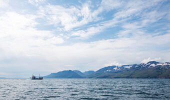 marine hull indemnity