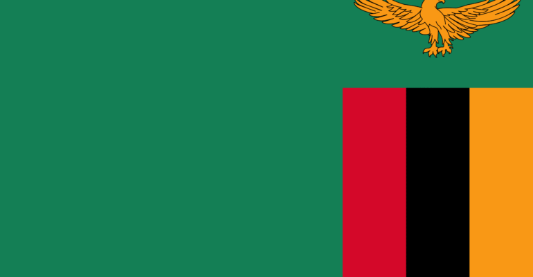 Sbnhuman capital in zambia